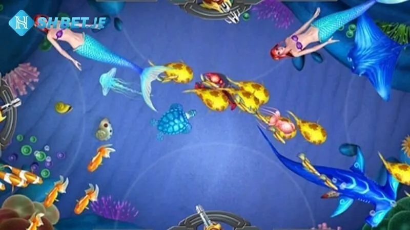 Bắn Cá Shbet 3 bắn cá Shbet