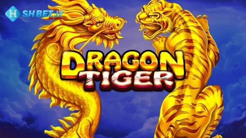 Rồng Hổ: Kinh Nghiệm Chơi Dragon Tiger Từ Chuyên Gia 5 Rồng Hổ: Kinh Nghiệm Chơi Dragon Tiger Từ Chuyên Gia